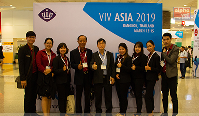 วิฟ เอเชีย 2019